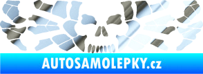Samolepka Pavouk 017 smrťák chrom fólie stříbrná zrcadlová
