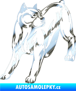 Samolepka Pes 007 levá Pitbull chrom fólie stříbrná zrcadlová