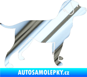 Samolepka Pes 062 pravá Labrador chrom fólie stříbrná zrcadlová