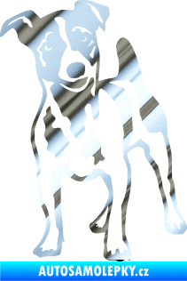 Samolepka Pes 144 levá Jack Russel terier chrom fólie stříbrná zrcadlová