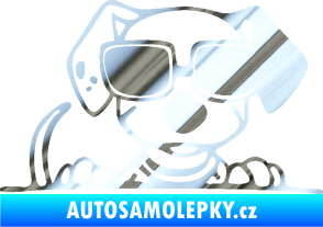 Samolepka Pes s brýlemi 101 pravá v autě chrom fólie stříbrná zrcadlová