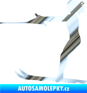 Samolepka Vodní lyže 002 levá chrom fólie stříbrná zrcadlová
