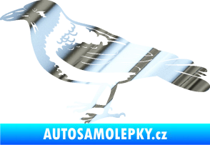 Samolepka Vrána 001 levá chrom fólie stříbrná zrcadlová