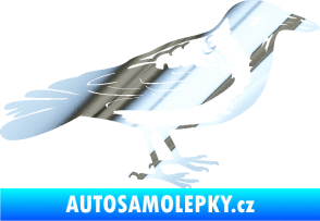 Samolepka Vrána 001 pravá chrom fólie stříbrná zrcadlová