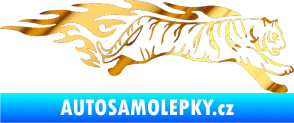Samolepka Animal flames 079 pravá tygr chrom fólie zlatá zrcadlová