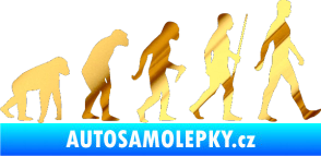 Samolepka Evoluce 001 pravá chrom fólie zlatá zrcadlová