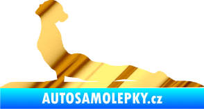Samolepka Jóga 004 levá chrom fólie zlatá zrcadlová