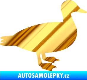 Samolepka Kachna 002 pravá chrom fólie zlatá zrcadlová