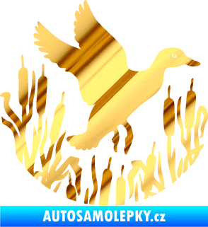 Samolepka Kachna divoká 002 pravá s rákosím chrom fólie zlatá zrcadlová