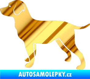 Samolepka Pes 062 levá Labrador chrom fólie zlatá zrcadlová
