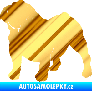 Samolepka Pes 089 levá Buldok chrom fólie zlatá zrcadlová