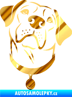Samolepka Pes 119 pravá Labrador chrom fólie zlatá zrcadlová