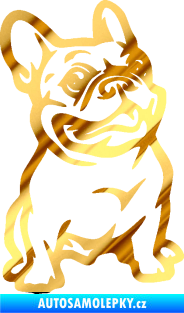 Samolepka Pes 139 pravá francouzský buldoček chrom fólie zlatá zrcadlová
