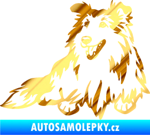 Samolepka Pes 162 levá sheltie chrom fólie zlatá zrcadlová