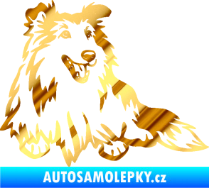 Samolepka Pes 162 pravá sheltie chrom fólie zlatá zrcadlová