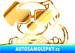 Samolepka Pes s brýlemi 101 levá v autě chrom fólie zlatá zrcadlová