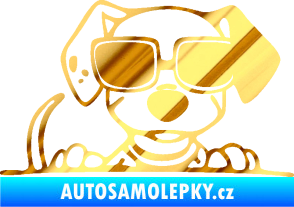 Samolepka Pes s brýlemi 101 pravá v autě chrom fólie zlatá zrcadlová
