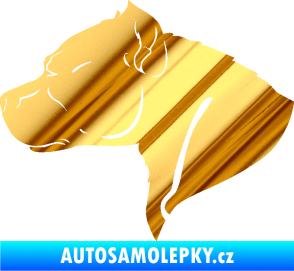 Samolepka Pitbull 004 levá chrom fólie zlatá zrcadlová