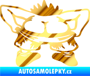 Samolepka Polib mi 003 chrom fólie zlatá zrcadlová