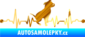 Samolepka Srdeční tep 007 pravá pitbull chrom fólie zlatá zrcadlová