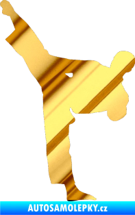 Samolepka Taekwondo 002 levá chrom fólie zlatá zrcadlová