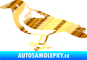 Samolepka Vrána 001 levá chrom fólie zlatá zrcadlová