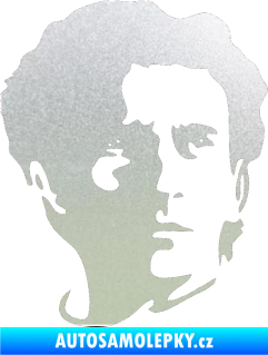 Samolepka Silueta Ayrton Senna pravá pískované sklo