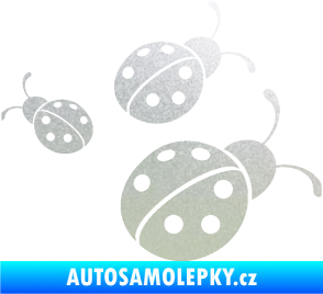 Samolepka Berušky 001 pravá pískované sklo