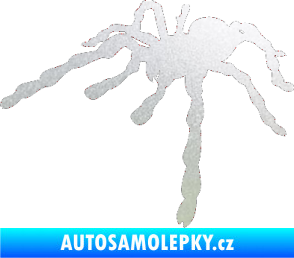 Samolepka Pavouk 013 - levá pískované sklo