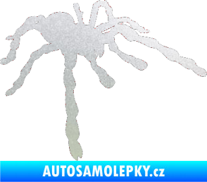 Samolepka Pavouk 013 - pravá pískované sklo