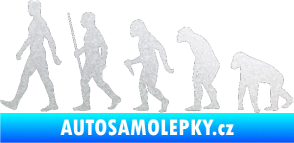 Samolepka Evoluce 001 levá pískované sklo