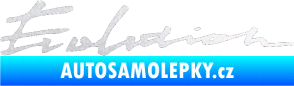 Samolepka Evolution pískované sklo