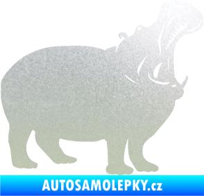 Samolepka Hroch 002 pravá pískované sklo