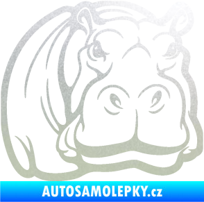 Samolepka Hroch 004 pravá pískované sklo