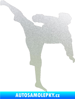 Samolepka Karate 009 levá pískované sklo