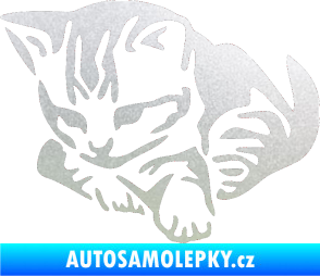 Samolepka Koťátko 003 levá pískované sklo