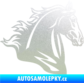 Samolepka Kůň 058 pravá hlava s hřívou pískované sklo