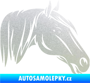 Samolepka Kůň 065 pravá hlava s hřívou pískované sklo