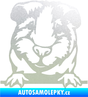 Samolepka Morče 004 levá pískované sklo