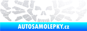 Samolepka Pavouk 017 smrťák pískované sklo