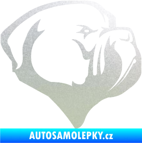 Samolepka Pes 116 pravá pitbull pískované sklo