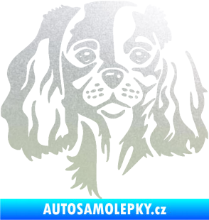 Samolepka Pes 132 levá Cavalier king Charles spaniel pískované sklo