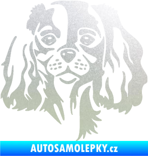 Samolepka Pes 132 pravá Cavalier king Charles spaniel pískované sklo