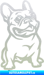 Samolepka Pes 139 pravá francouzský buldoček pískované sklo