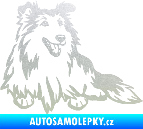 Samolepka Pes 162 pravá sheltie pískované sklo