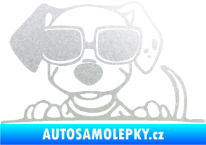Samolepka Pes s brýlemi 101 levá v autě pískované sklo