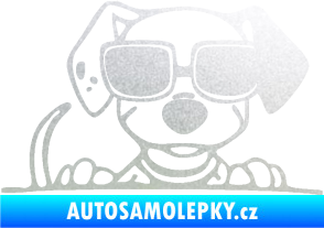 Samolepka Pes s brýlemi 101 pravá v autě pískované sklo