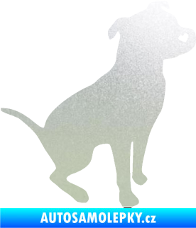 Samolepka Pitbull 005 pravá pískované sklo