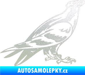 Samolepka Predators 006 pravá pískované sklo