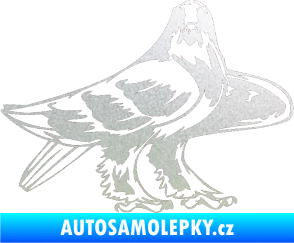 Samolepka Predators 047 pravá pískované sklo